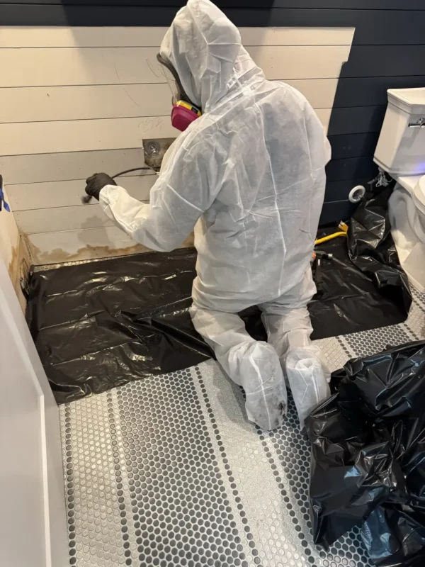 Mold Cleanup and Remediation in Dallas Fort Worth